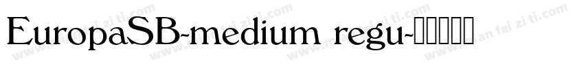 EuropaSB-medium regu字体转换